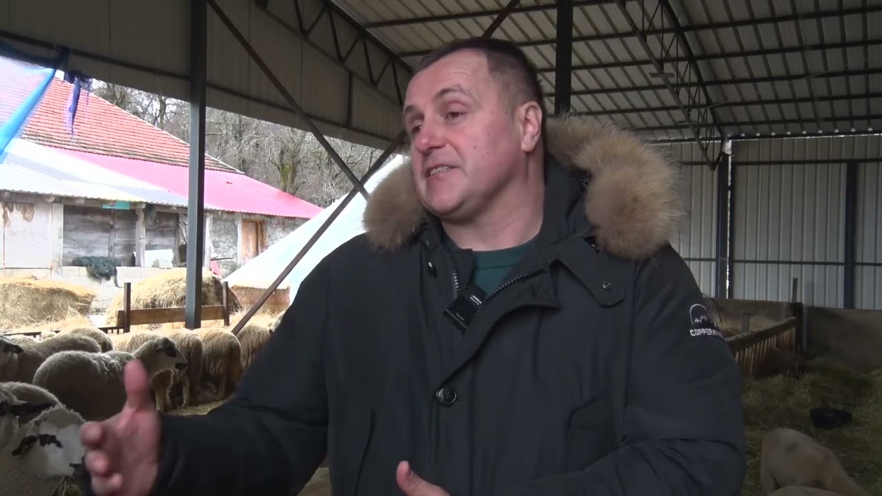 Stočarstvo u užičkom kraju – tradicija i razvoj
