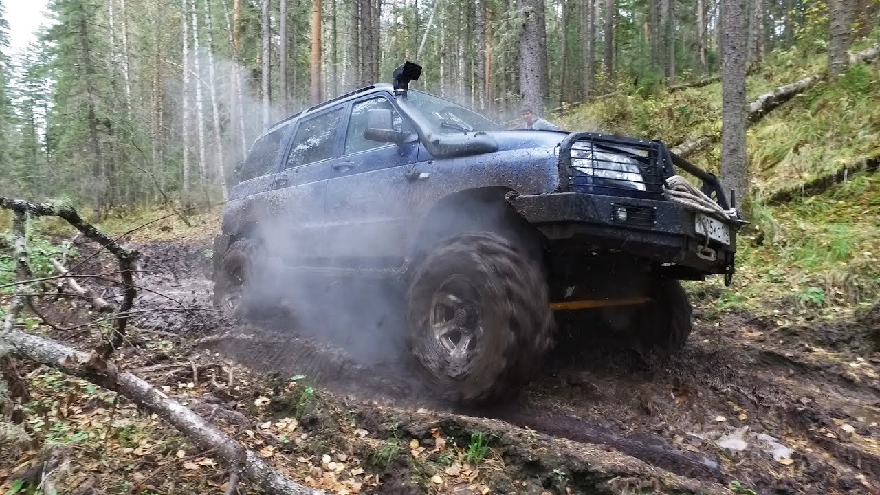 В поисках безысходности...