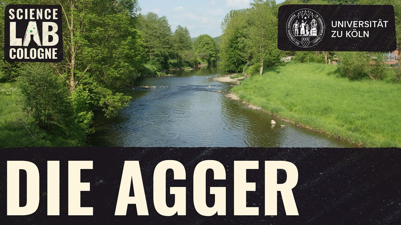 &Ouml;kologie - Exkursion an die Agger