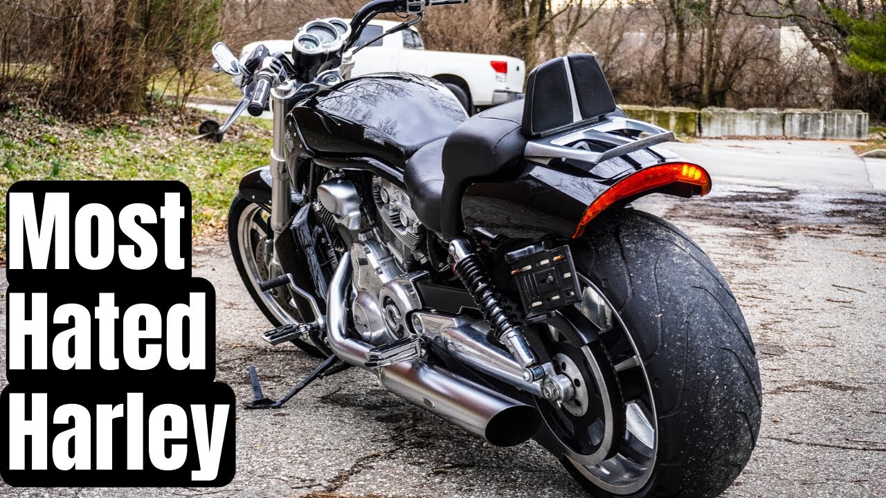 5 THINGS I LOVE ABOUT MY V-ROD MUSCLE  │ Sport Bike rider becomes Harley Davidson Cruiser Fan