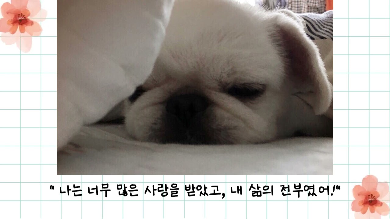 하니