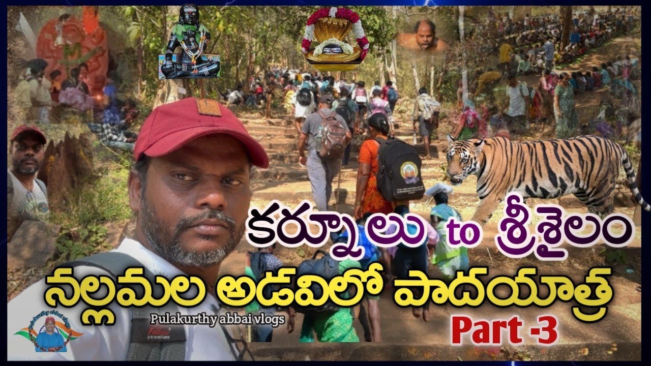 🚩🙏శ్రీశైలం పాదయాత్ర 2025 part - 3| కర్నూలు to శ్రీశైలం నల్లమల ఫారెస్ట్ trekking | srisailam temple