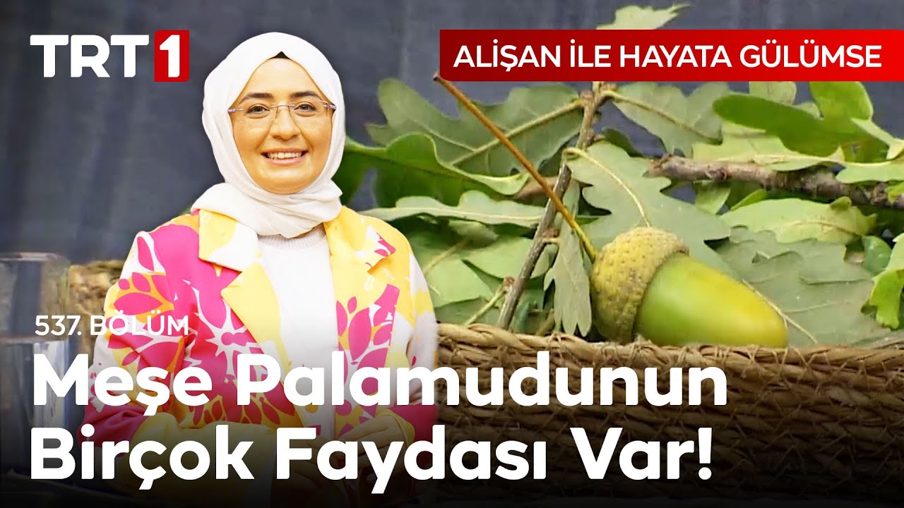 Tadı Fındığa Benzetilen Meşe Palamudunun Pek Bilinmeyen Faydaları 📌 Ecz. Dr. Fidan Pesen Özdoğan