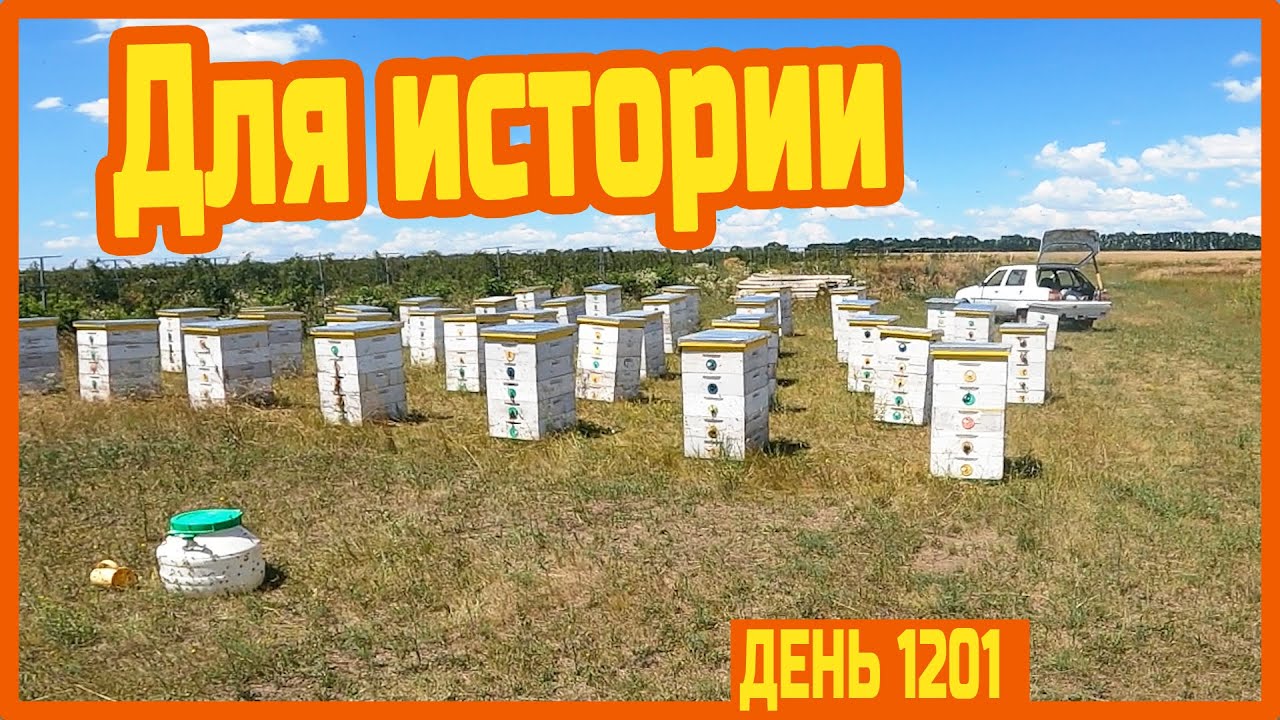 Съездил за мёдом. Роздал последний сироп. Подкачал разнотравья полтора бидона. — День 1201