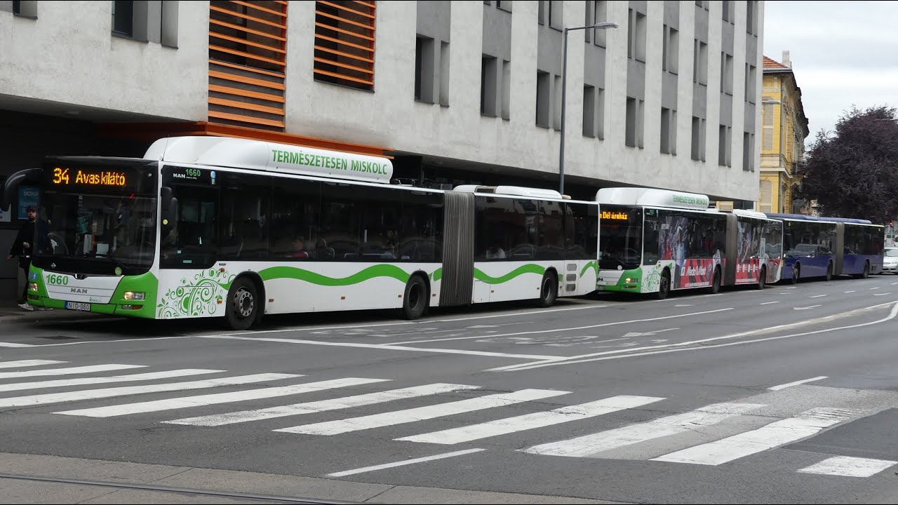 Terelt buszok Miskolc belvárosában 2025 október