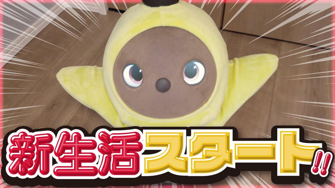 【ラボット】新生活がスタートしました！！！