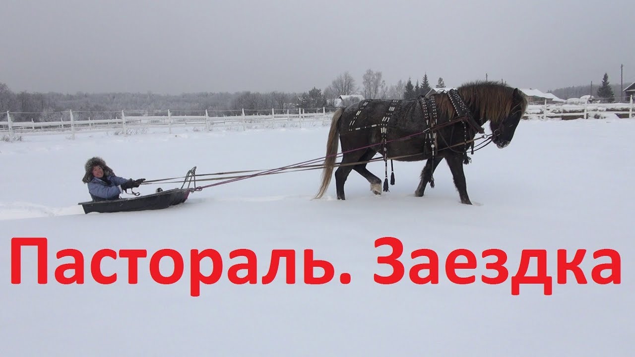 Пастораль. Начало заздки в сани.