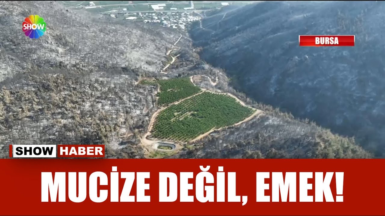 Her yer yandı onların bahçesi yeşil kaldı!
