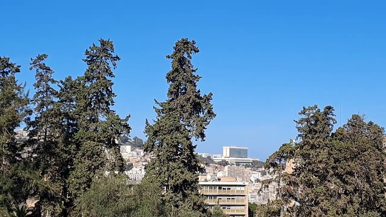 El- Mouradia ( Le Golf) vers Alger centre 🇩🇿