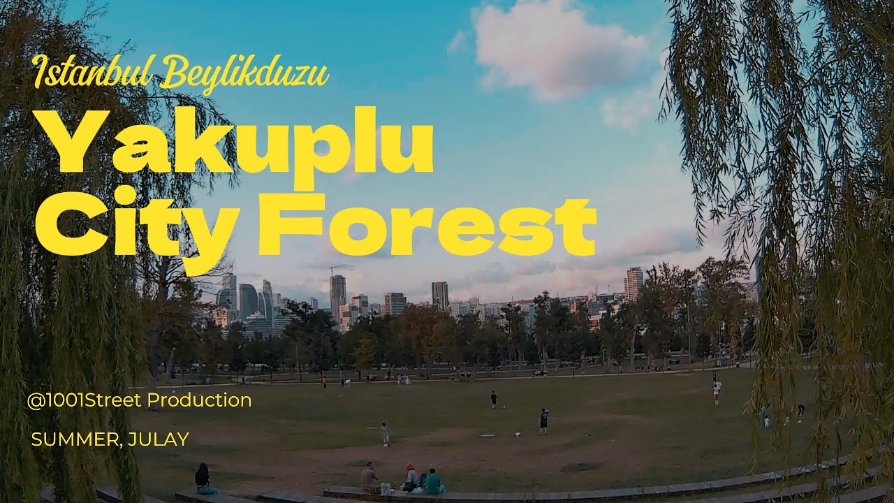 Turkiye Istanbul Beylikduzu Yakuplu City Forest Park, Summer, July, 4K walking tour