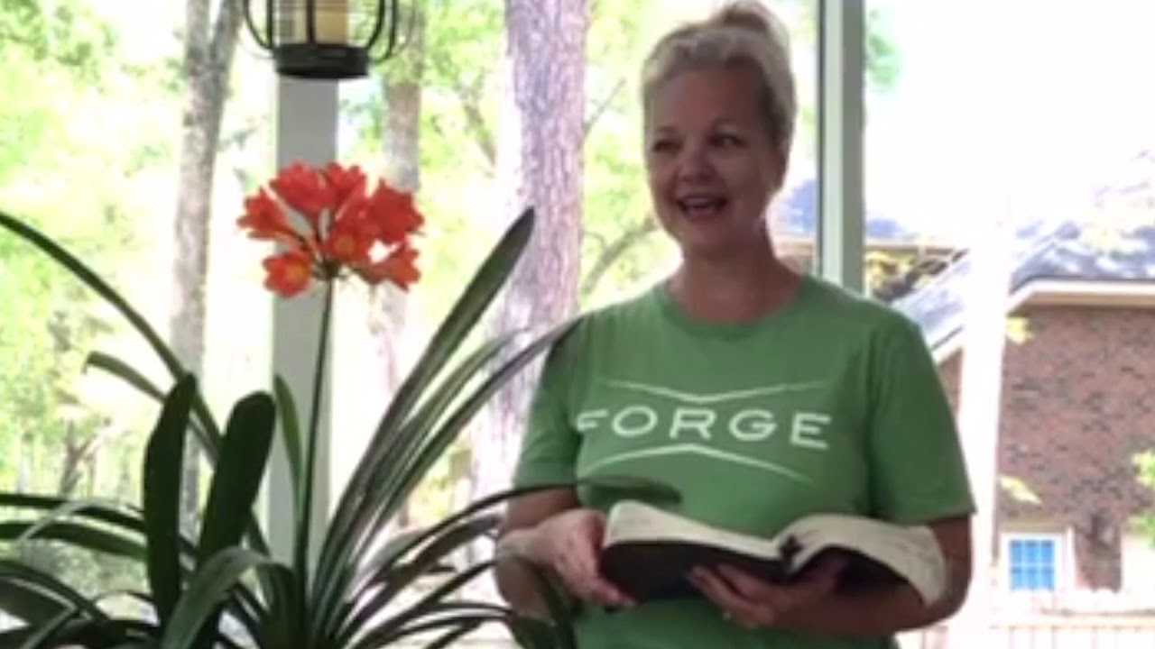 Beauty in the Midst of the Journey