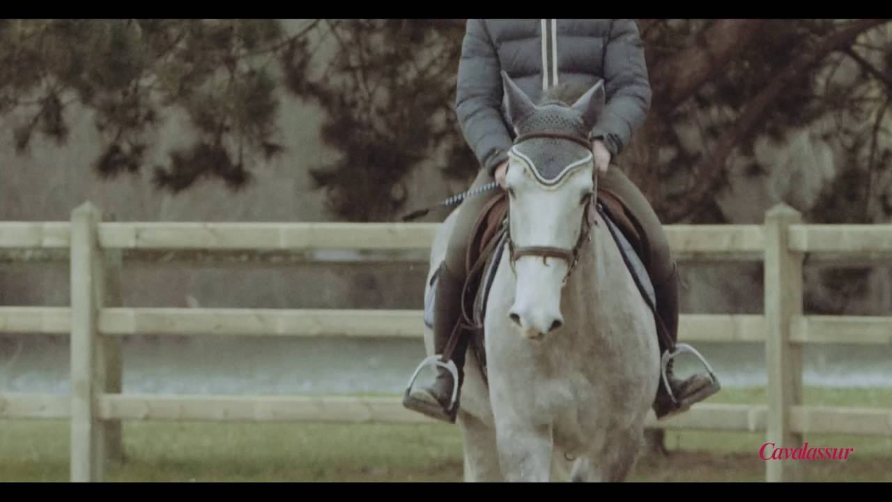 Les conseils de Cavalassur: Les différentes pathologies chez le cheval de sport