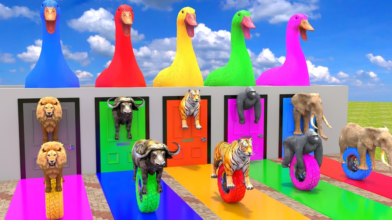 Long Slide Game With Lion Elephant Gorilla Hippopotamus Tiger - 3d Animal Game - Funny 3d Animals