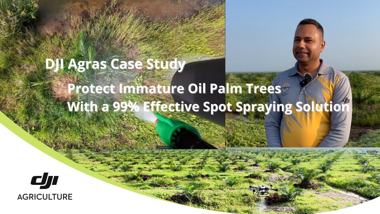 Protect Immature Oil Palm Trees with a 99% Effective Spot Spraying Solution | DJI Agras Case Study