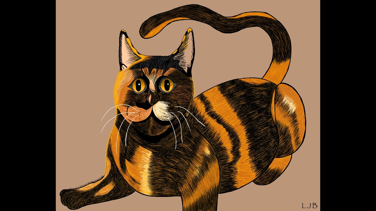Old Cat Design Timelapse