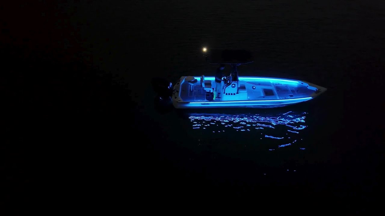 Just a glowing Excel on the water. ✨🚤
Hard not to stop and stare when it looks this good.

