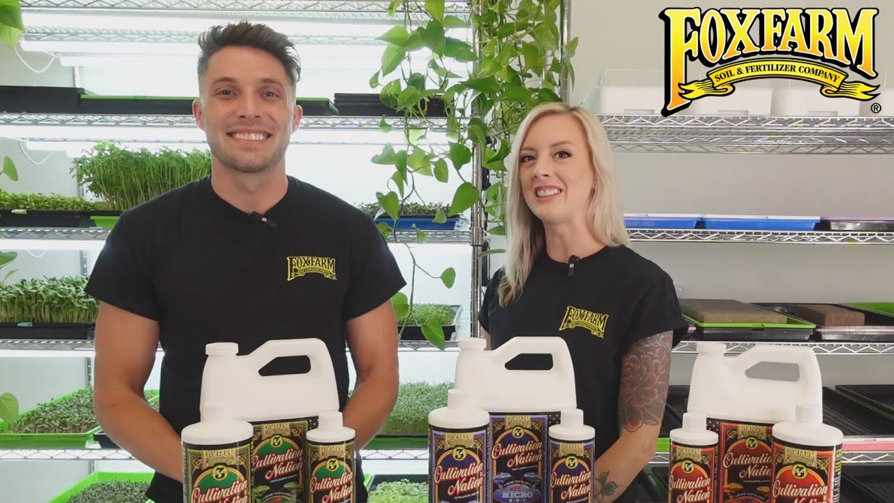 Как использовать жидкие 3-компонентные удобрения Cultivation Nation от FoxFarm
