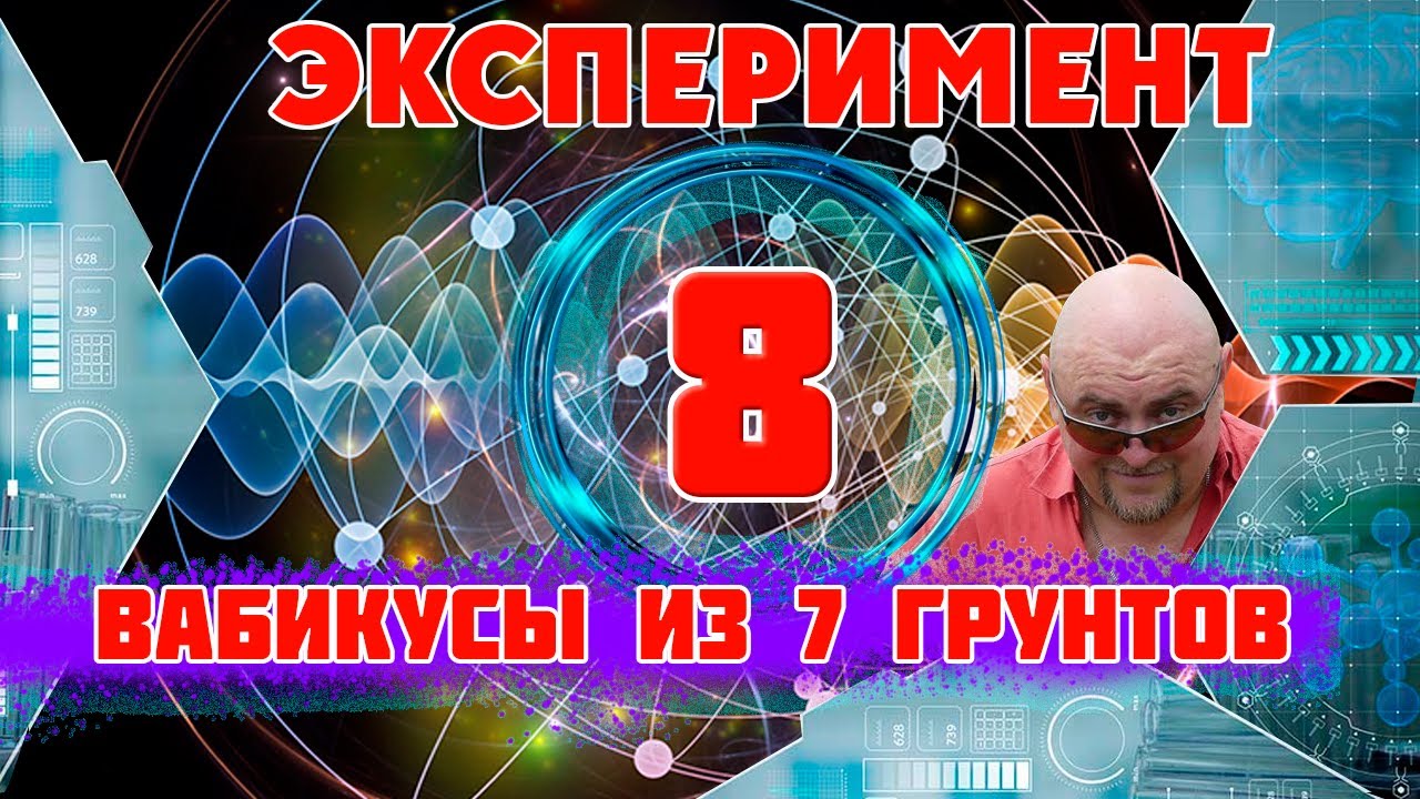 Вабикусы в аквариуме. 7 Вабикус из 7 разных грунтов.