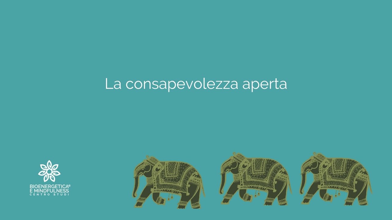 Consapevolezza aperta