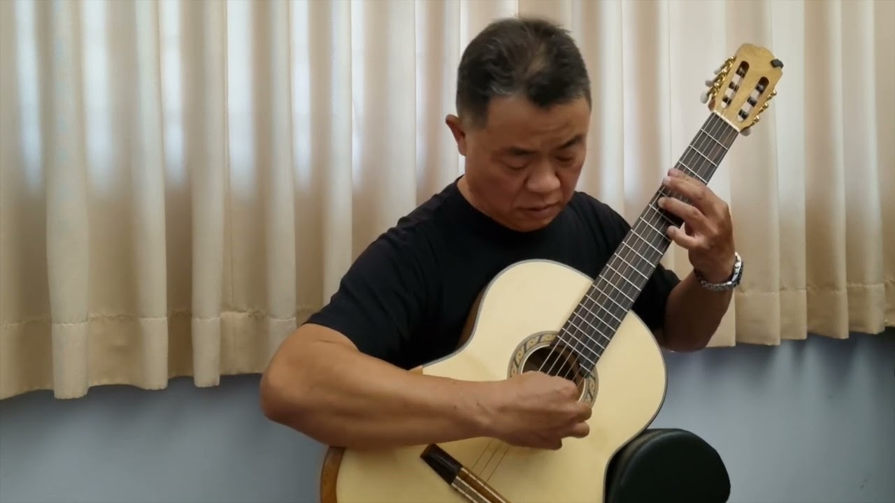 The Moon Represents My Heart (Solo Guitar Cover)