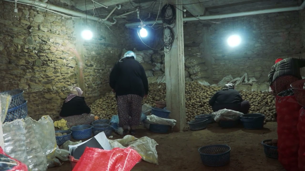 KUMPİR, BİR YUMRU YAŞAM; BOZDAĞ