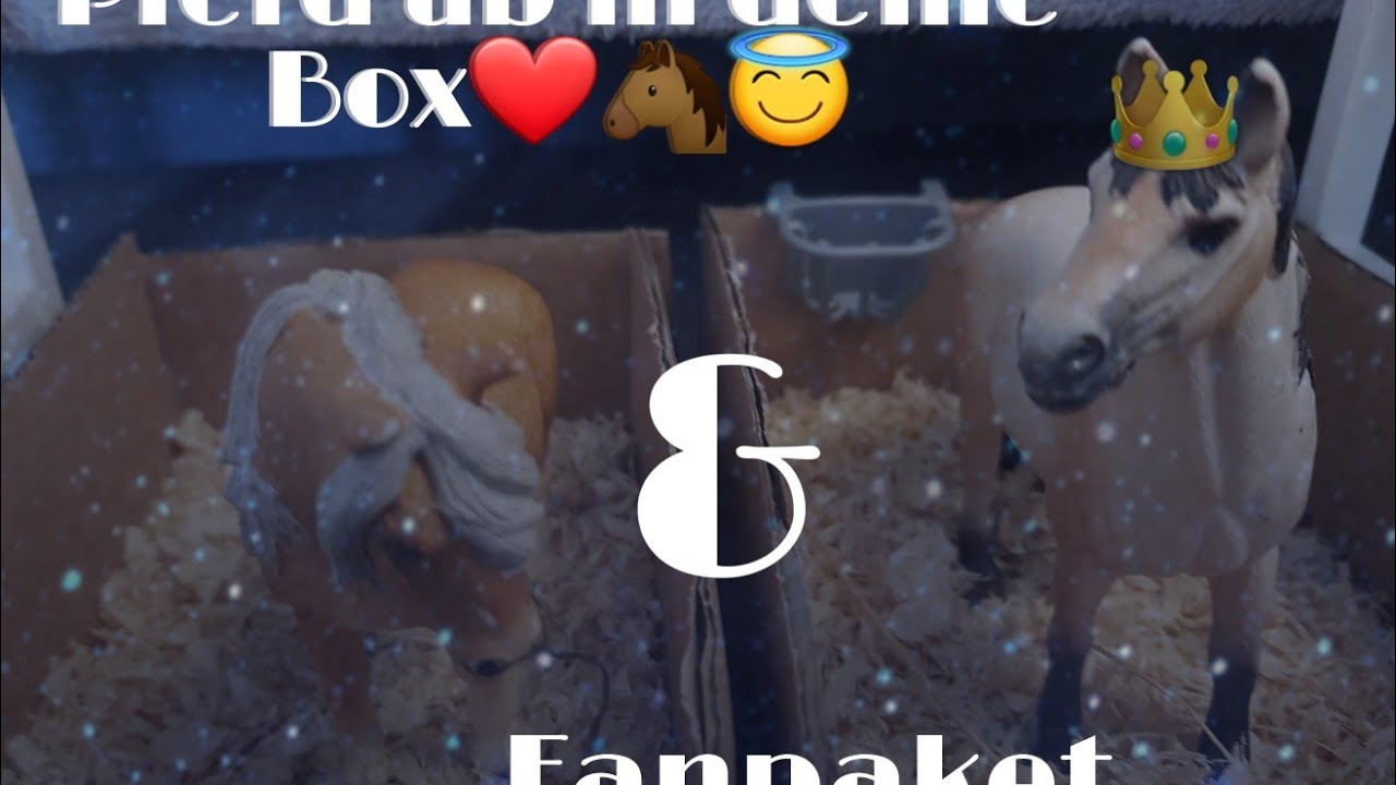 Fanpaket & Pferd ab in deine Box 💗✌🏻