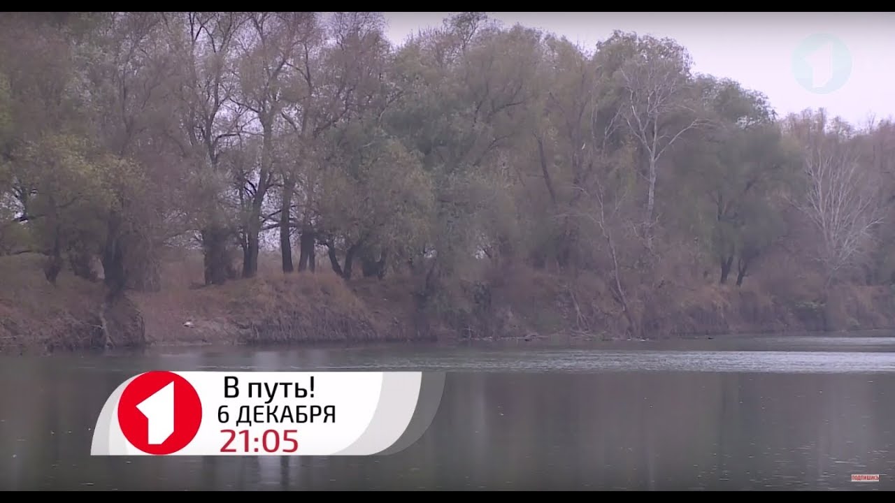 Анонс программы 