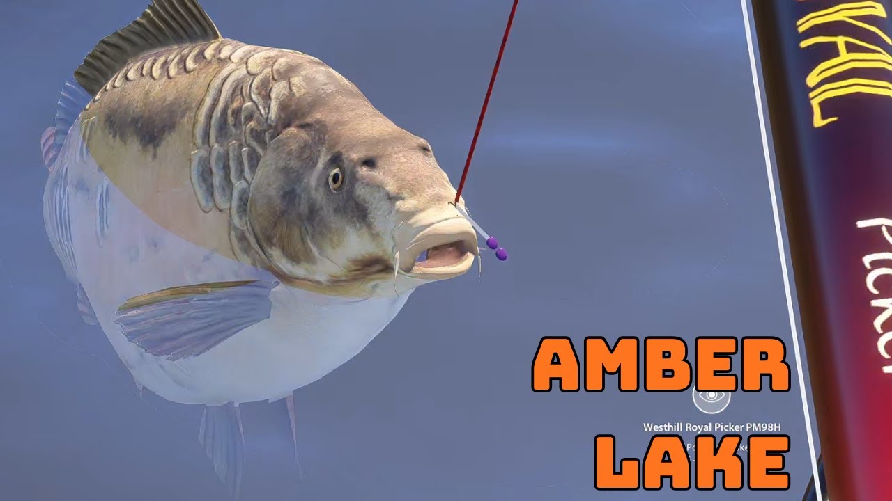 Stary ale dla niektórych nowy spot | Amber Lake  | Russian Fishing 4