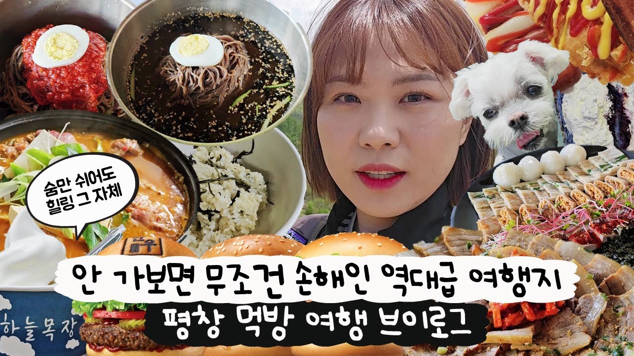 [먹방 브이로그] 평창여행 1박2일🚘여기 안 가면 평생 손해⚠️(막국수, 보쌈, 묵은지목살전골, 곤드레밥, 메밀전, 메밀묵, 육백마지기, 양떼목장, 휘닉스파크, 여행 브이로그)