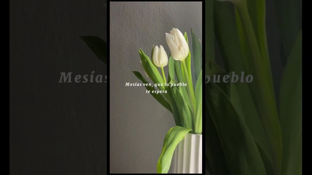 La tierra est&aacute; gimiendo #mesias #averlymorillo #cristoreymusica