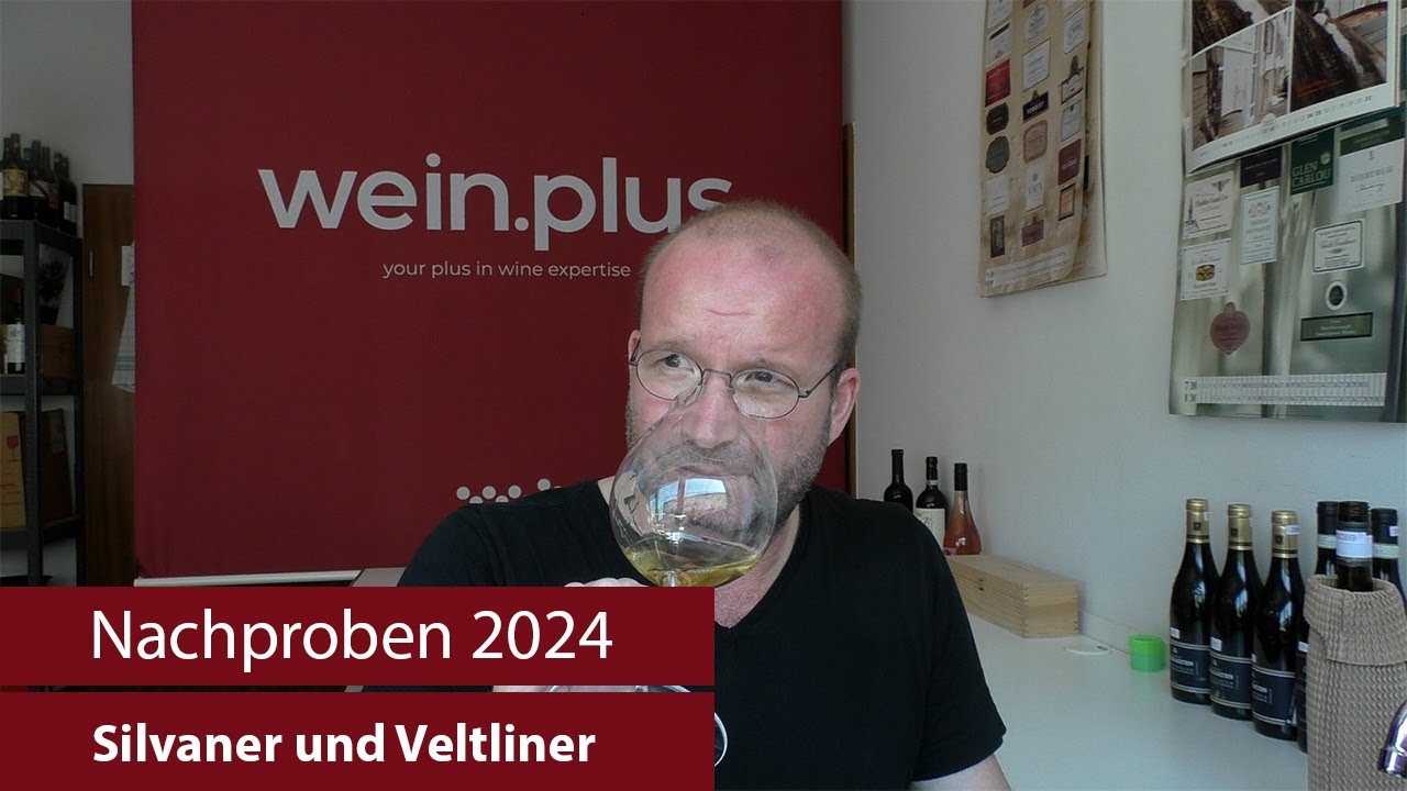 Nachproben 2024 | Silvaner und Veltliner
