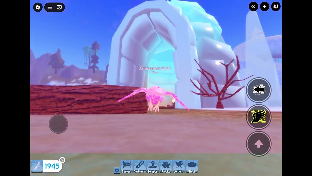 I am a bird 