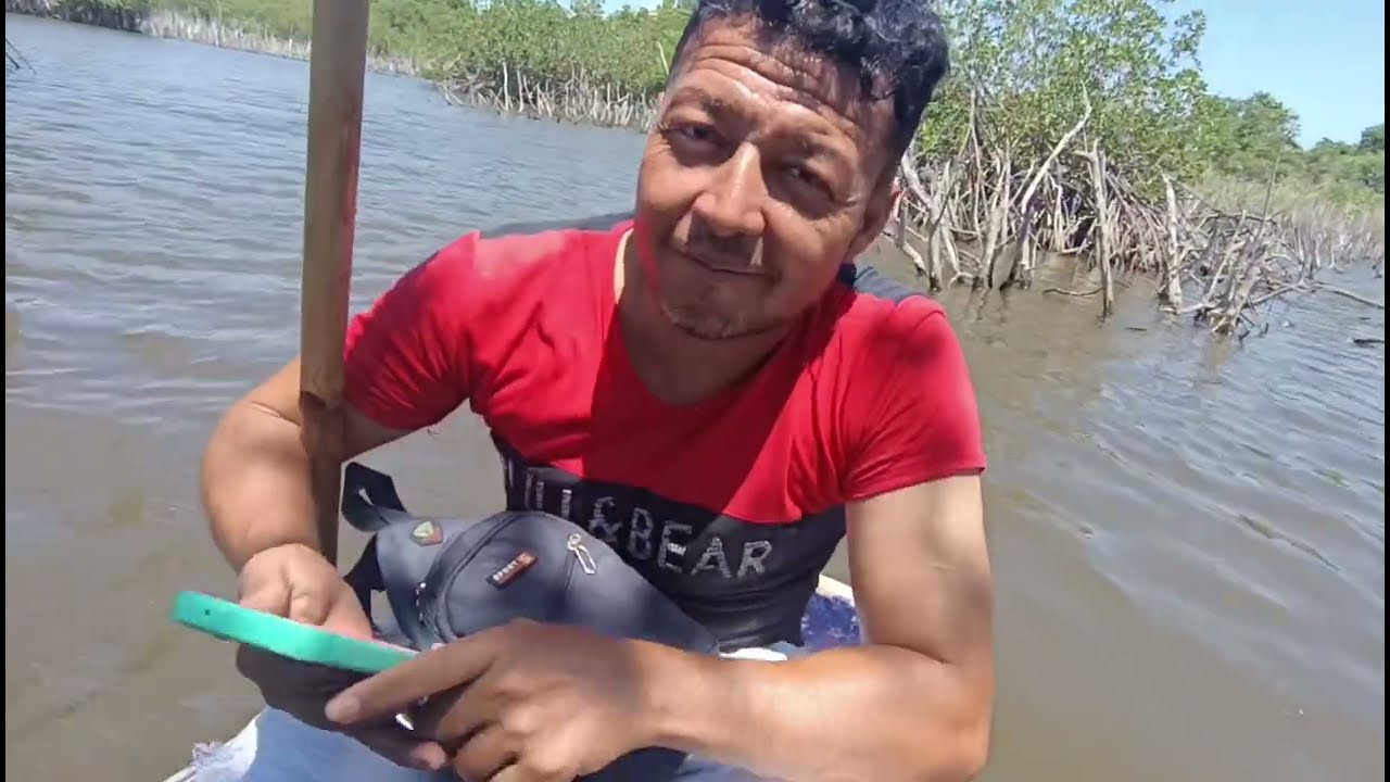 Encontramos las aletas