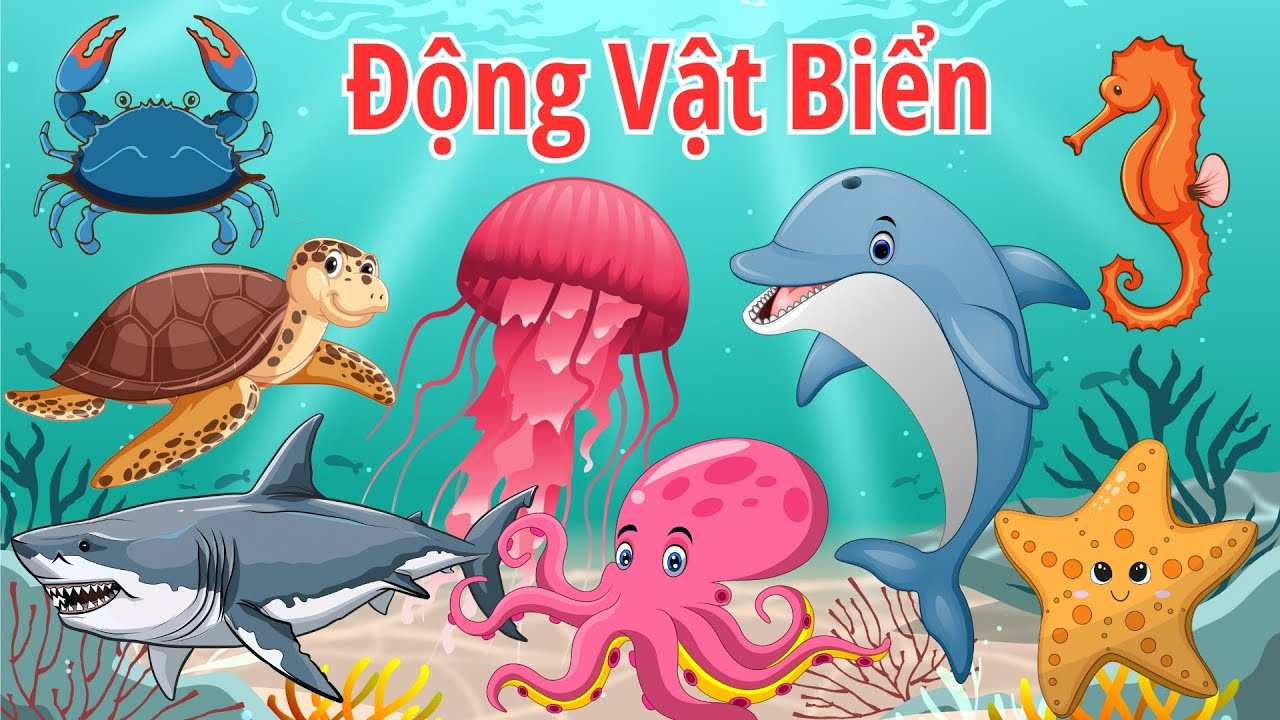 Dạy Bé Học Từ Vựng Tiếng Anh Về Động Vật Biển | Sea Animals Vocabulary For Kids