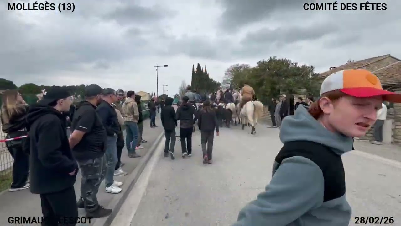 ABRIVADO BANDIDO DE MOLLEGES MANADES GRIMAUD ET LESCOT DU SAMEDI LE 28 02 26