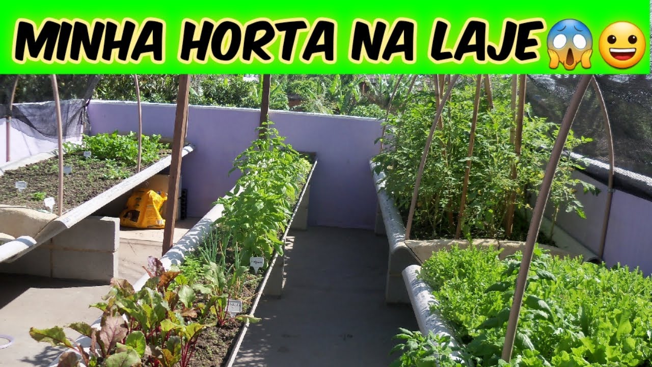 HORTA NA LAJE/Passo a passo/HORTA NA TELHA/Bora pra Roça?