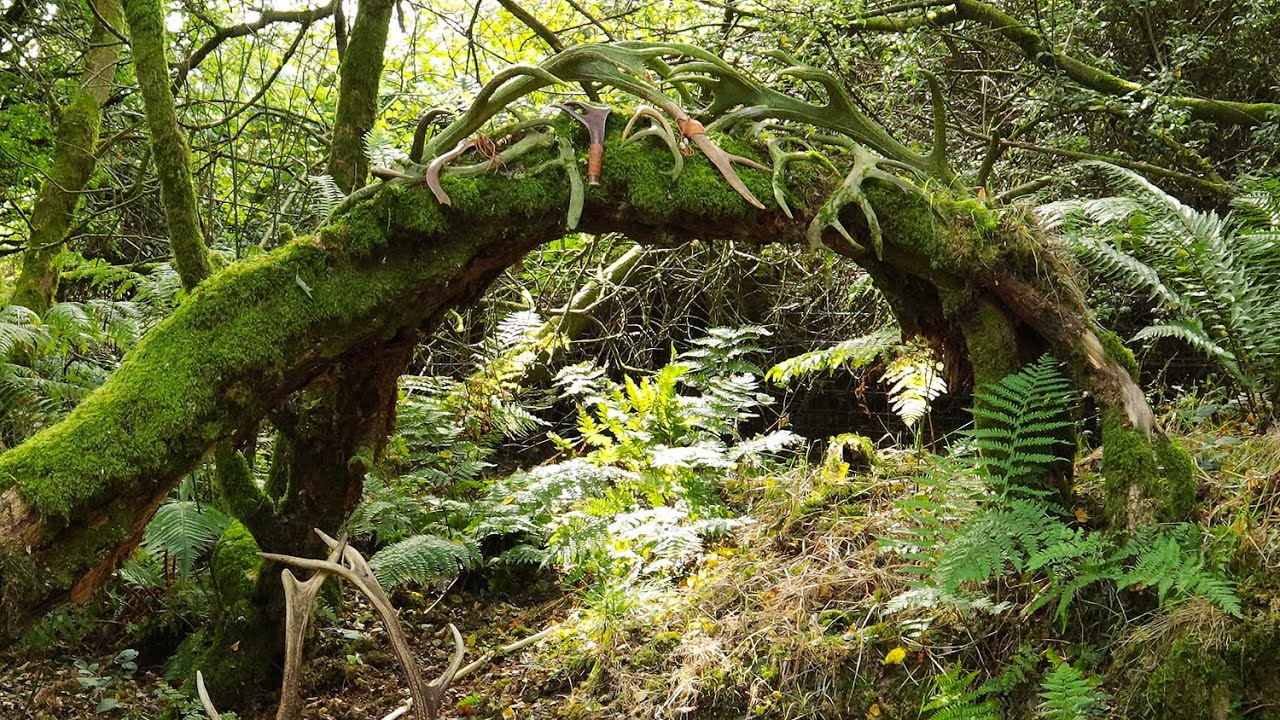 Dartmoor Concert from the Beltane Fireside