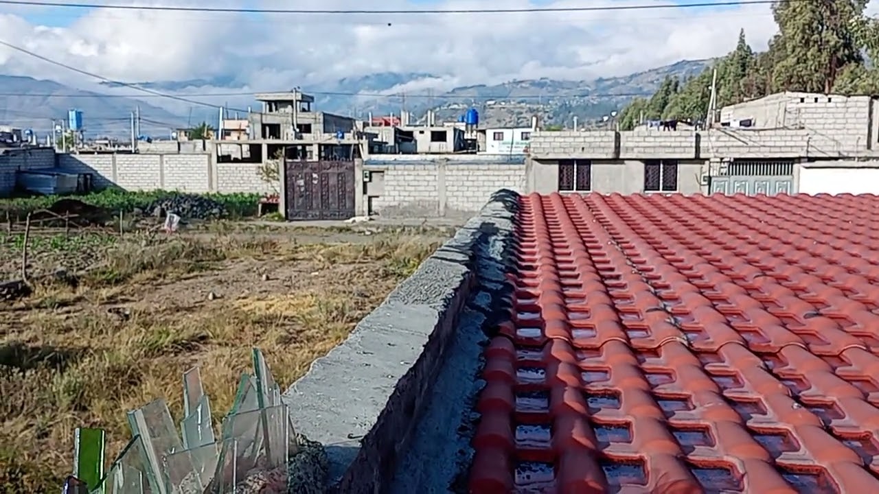 @municipalidadpujili DENUNCIADO POR PERMITIR CERDOS EN ÁREA URBANA 