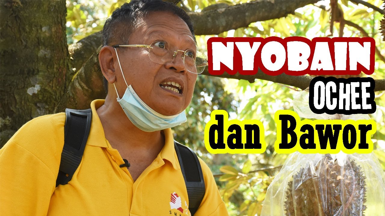 (EPISODE: Kebun Durian Sadar Tani) Makan Durian Duri Hitam dan Bawor di Bogor