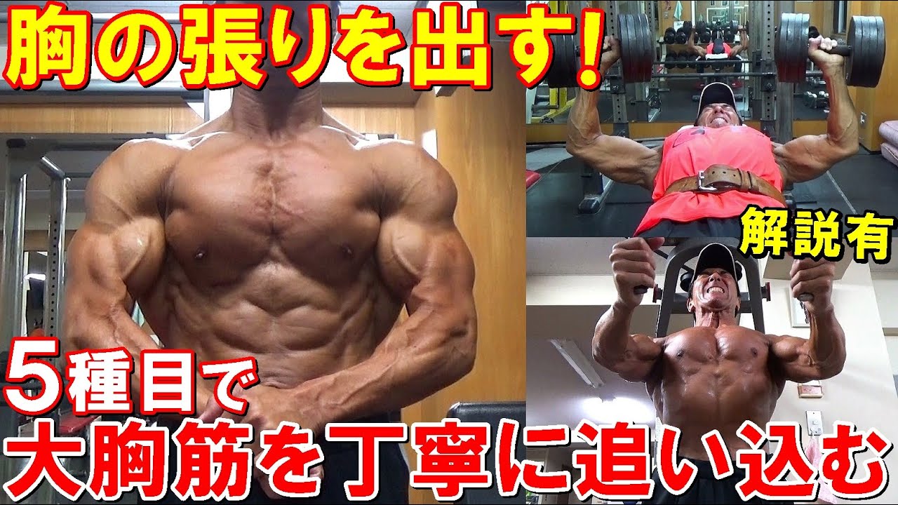 【筋トレ】胸の張りを出すために5種目で大胸筋を丁寧に追い込む！フィジーク大会2週間前のトレーニング【解説有】