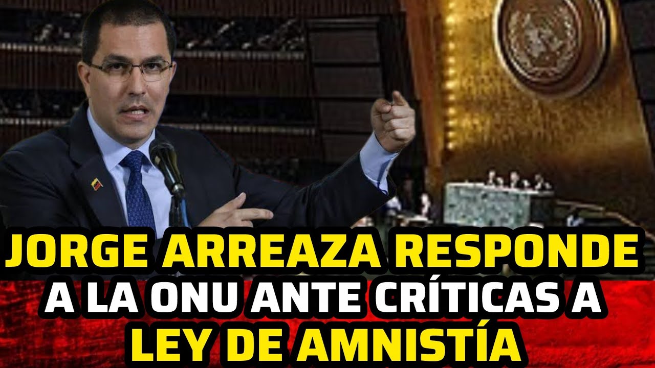 DlPUTADO JORGE ARREAZA RESPONDE ASÍ A LA ONU TRAS CRÍTlCAS A LA LËY DE AMlSTÍA