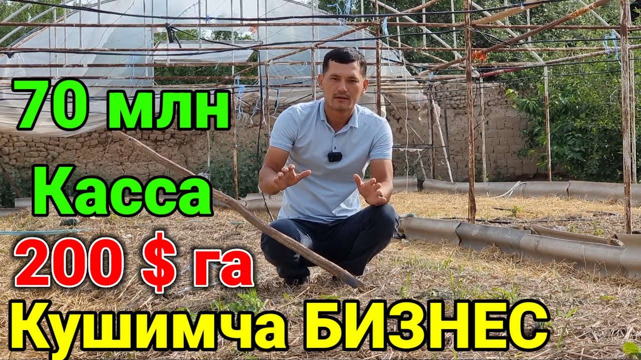 Уй шароитида 200$ лик кушимча бизнес бир йилда 70 млн фойда