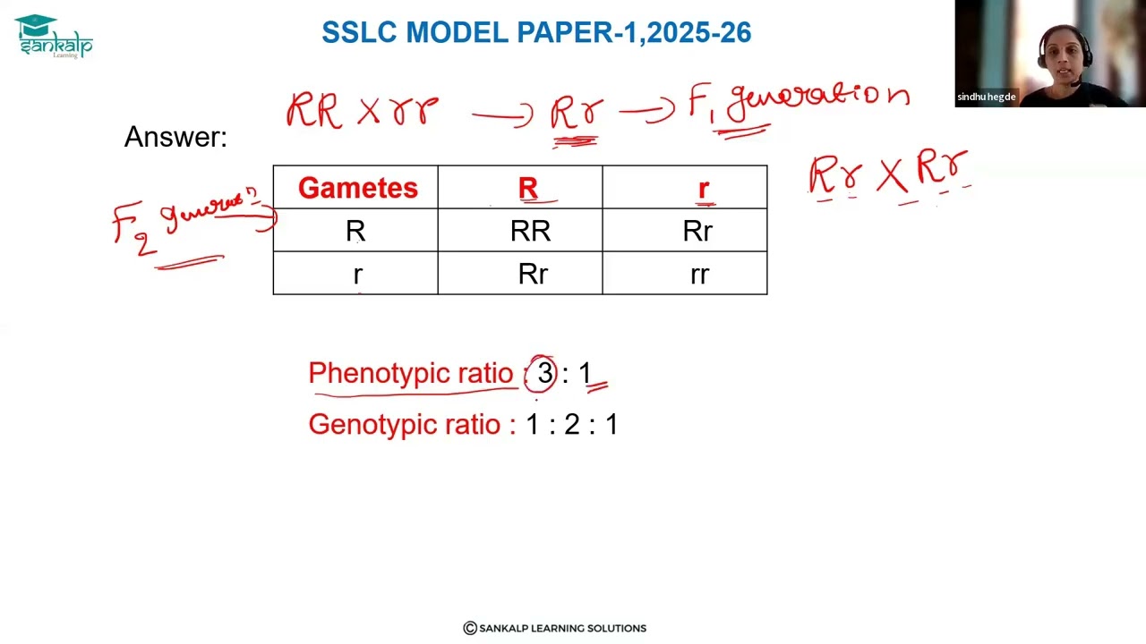 Model Question paper 1 - Science -  EM  - Qno 35B