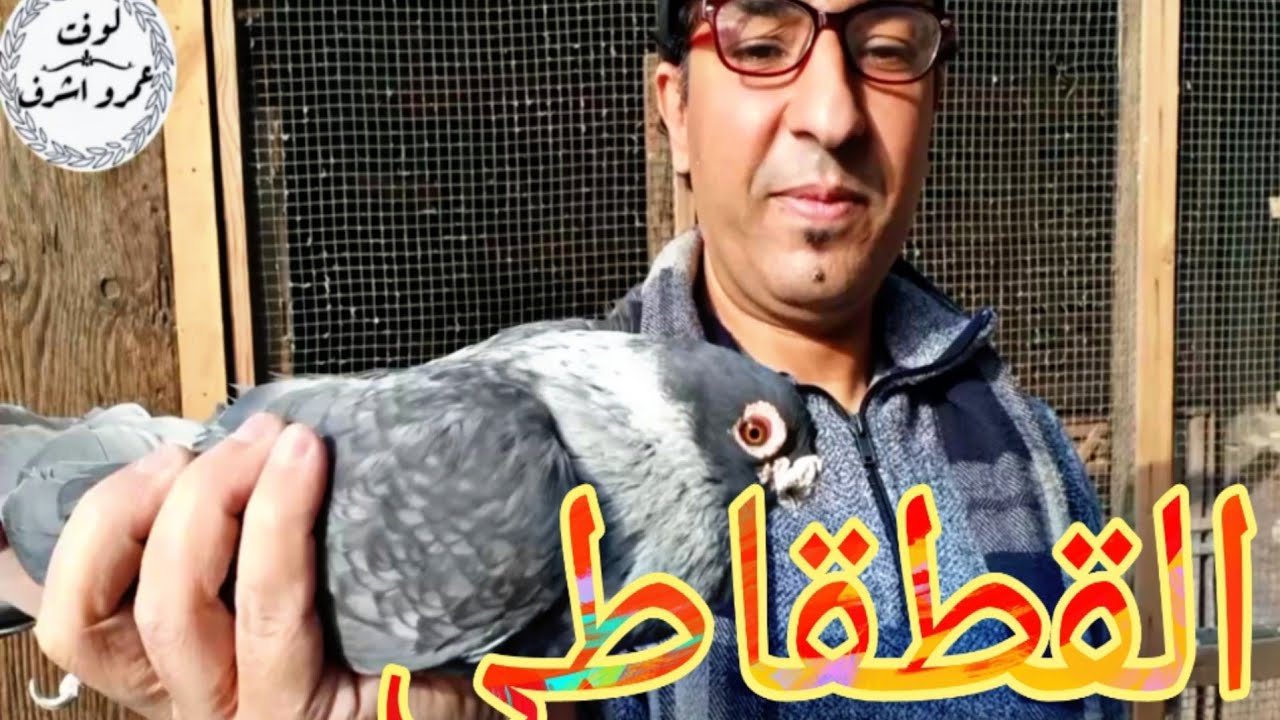 حمام القطاقطى و العيوب و المميزة مع ا/كرم فريد منطقة شبرا مصر#لوفت_عمرو_اشرف