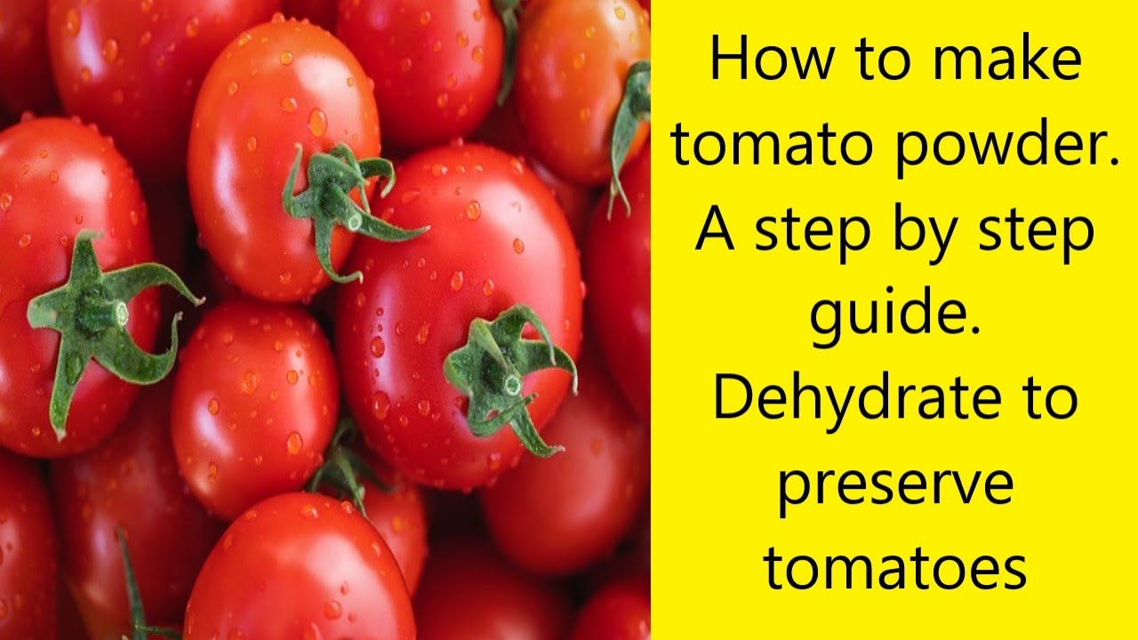 How to make tomato powder A step by step guide Dehydrate to preserve tomatoes. UK Allotment (Zone 8)