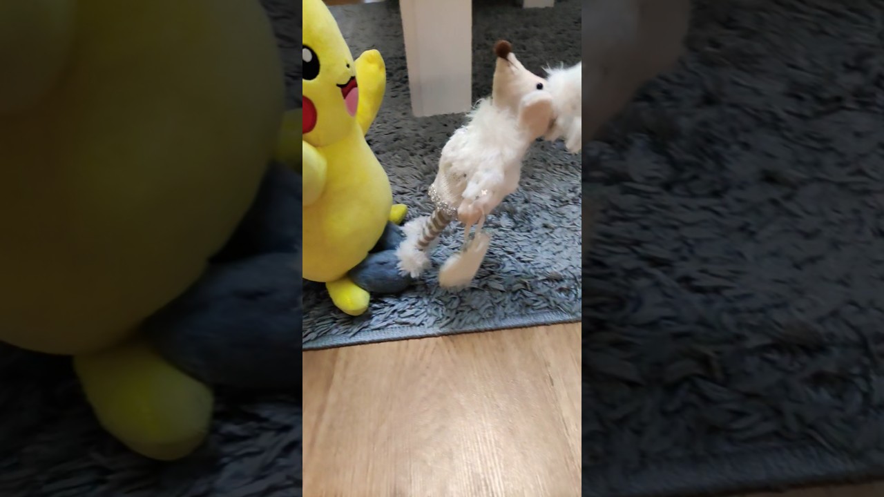 When the Boxer Pikachu Decided to Play Rough 😆🥊⚡