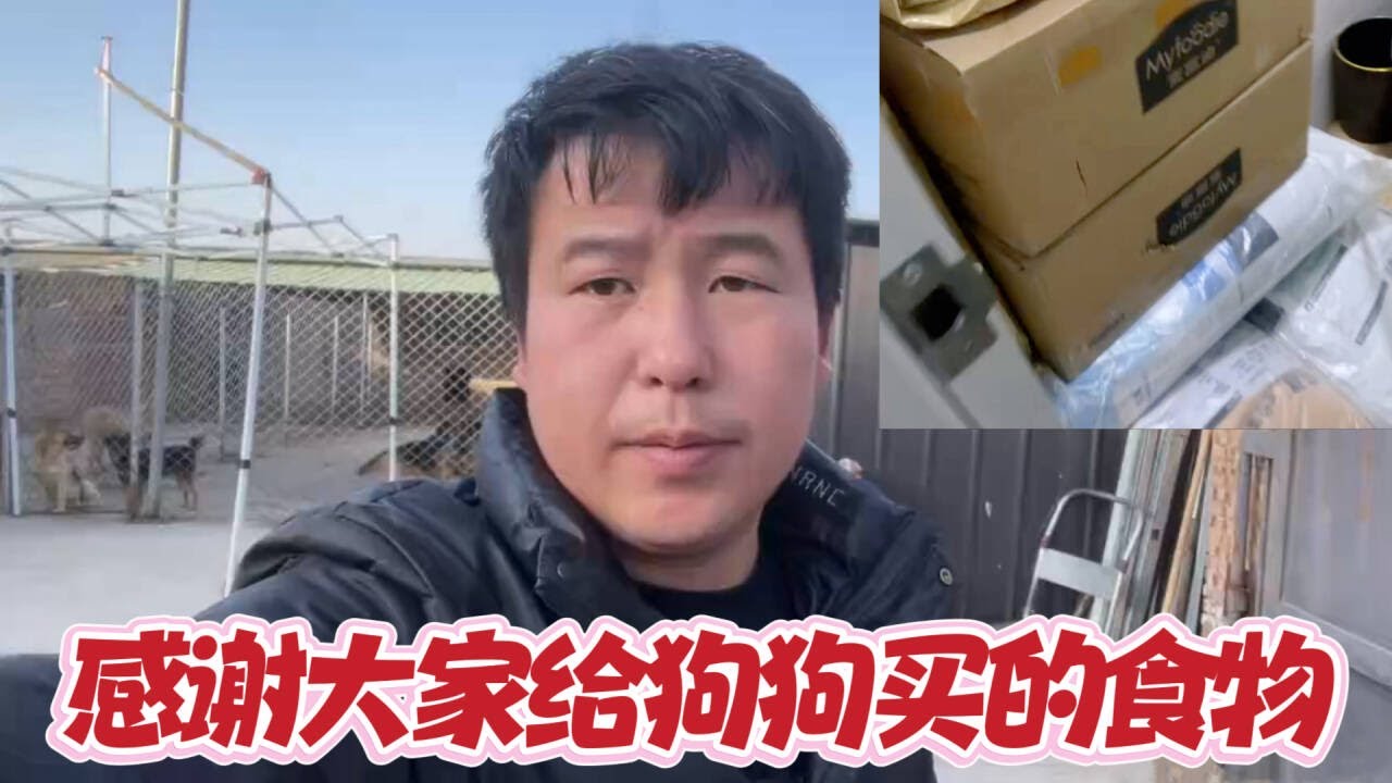2026-1-26 Stray dog home 感谢大家给狗狗买的粮食，今天又收到了好几包狗粮。