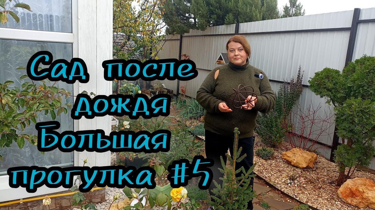 Магия мокрого сада. Большая прогулка после дождя. 