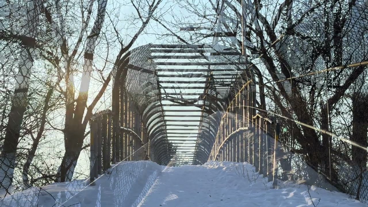 Whetstone Shelter 1 in golden sunlight#snow#winter#nature#hiking#sunday