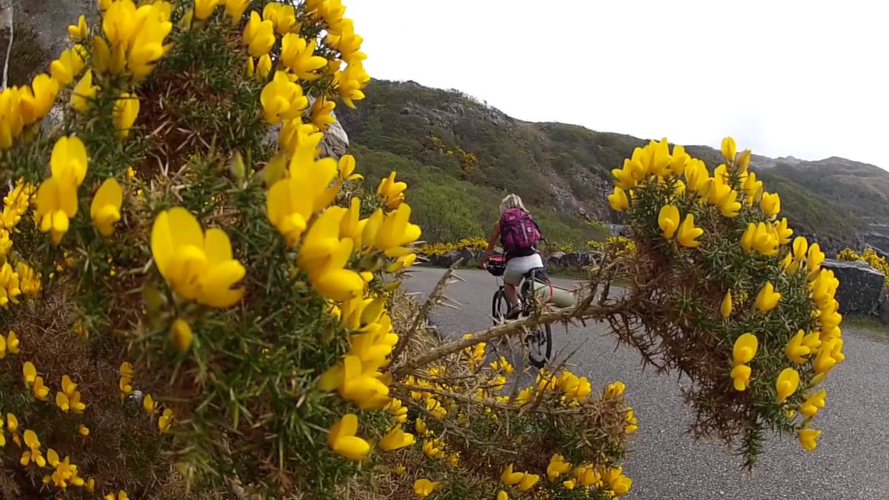 Scourie.
